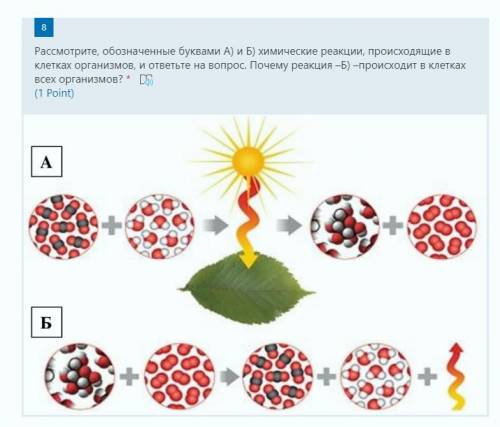 Рассмотрите, обозначенные буквами А) и Б) химические реакции, происходящие в клетках организмов, и о