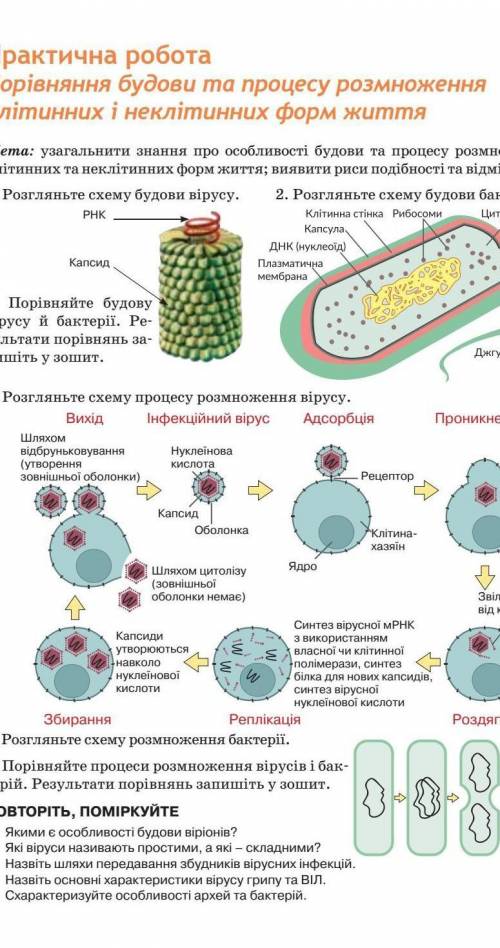 Практична робота з біології 9 клас​