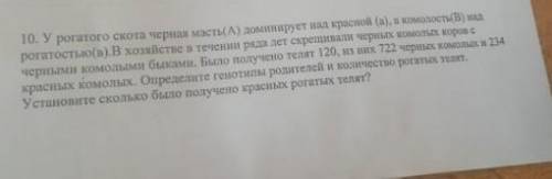 Задача по генетикеподробное решение телят 1200, наверное​