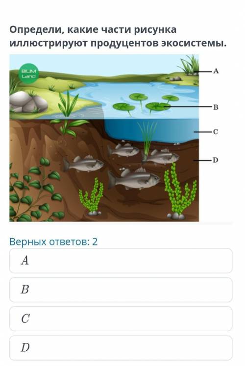 Компоненты экосистемыВерных ответов: 2ABC ​