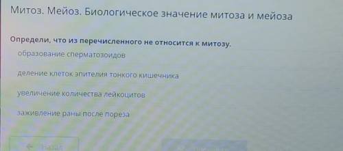 Митоз. Мейоз. Биологическое значение митоза и мейоза Определи, что из перечисленного не относится к