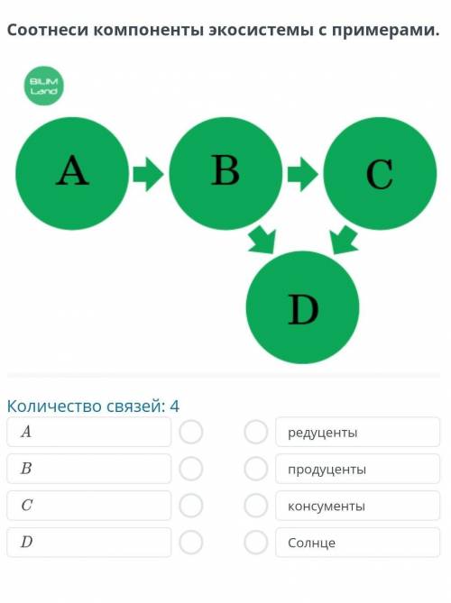 Экосистемы Соотнеси компоненты экосистемы с примерами.￼Количество связей: 4ABCDредуцентыпродуцентыко