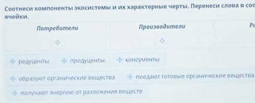 Соотнеси компоненты экосистемы и их характерные черты. Перенеси слова в соответствующиеячейки.​