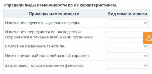 Определи виды изменчивости по их характеристикам. Примеры изменчивостиИзменения адекватны условиям с