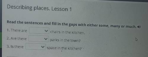 Describing places. Lesson 1 Read the sentences and fill in the gaps with either some, many or much.