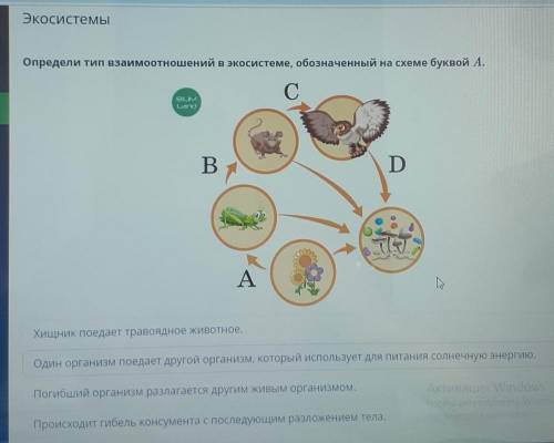 ЭкосистемыОпредели тип взаимоотношений в экосистеме, обозначенный на схеме буквой А.​