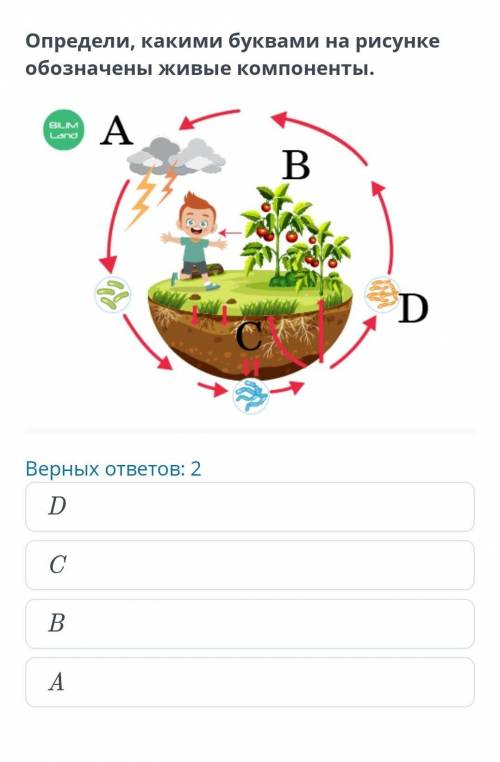 Взаимосвязь компонентов экосистем Определи, какими буквами на рисунке обозначены живые компоненты.Ве