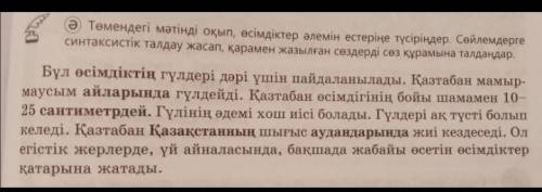 Ә) Төмендегі мәтінді оқып, өсімдіктер әлемін естеріңе түсіріңдер. Сөйлемдергесинтаксистік талдау жас