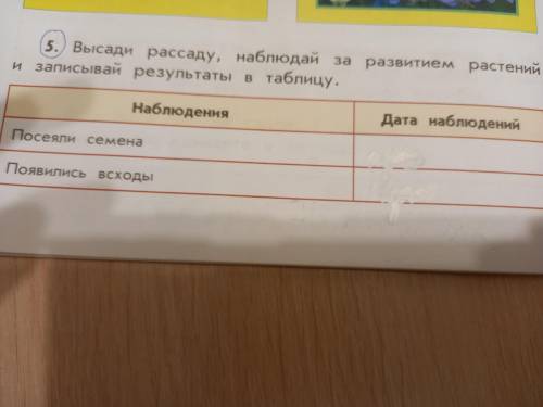 Высади рассаду Наблюдая за развитием растений и записывай результат в таблицу