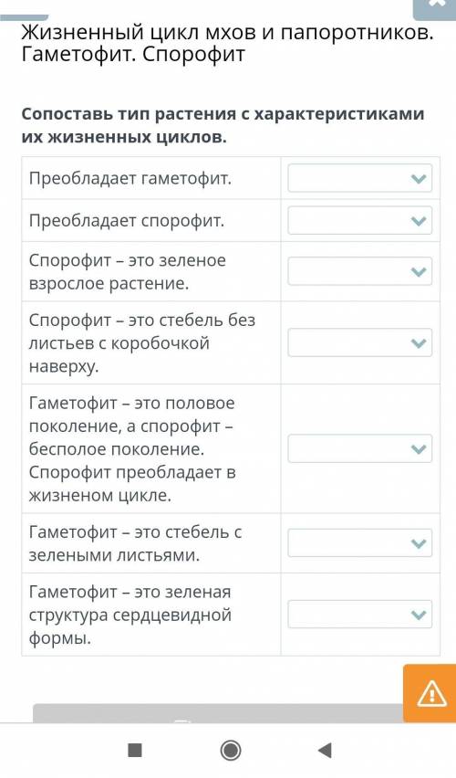 Сопоставь тип растения с характеристиками их жизненных циклов. Преобладает гаметофит. Преобладает сп
