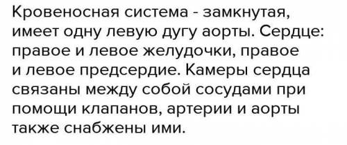 Кровеносная система (тип,круги,камеры ,сердца ) у насекомых,рыб и млекопитающих ?