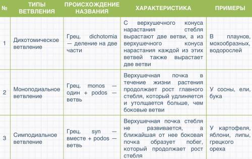 Назовите сравнительные преимущества и недостатки у ветвления и завивания у растений( )