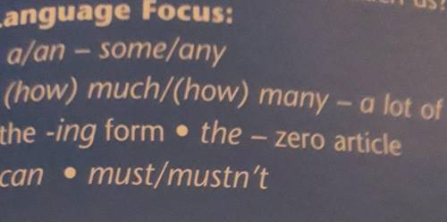 Language Focus: • a/an - some/any• (how) much/(how) many - a lot of• the -ing form the - zero articl