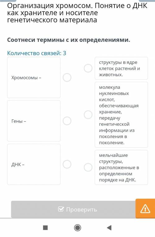 Организация хромосом. Понятие о ДНК как хранителе и носителе генетического материала Количество связ