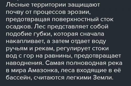 Почему, по мнению автора текста, нельзя легко- мысленно относиться к лесам, а необходимо ихберечь?(к