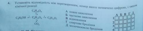 Всього лиш 4 завдання і потрібно їх пояснити чому саме так