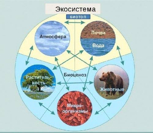 Все компоненты связаны между собой и взаимодействуют друг с другом. Попробуй объяснить взаимосвязь к