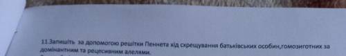 11.3апишіть за до решітки Пеннета хід схрещування батьківських особин, гомозиготних за домінантним т