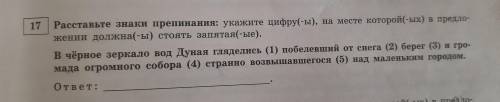 расставить знаки препинания в пяти предложениях с ОБЪЯСНЕНИЯМИ.