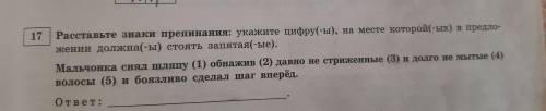 расставить знаки препинания в пяти предложениях с ОБЪЯСНЕНИЯМИ.