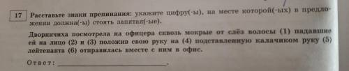 расставить знаки препинания в пяти предложениях с ОБЪЯСНЕНИЯМИ.