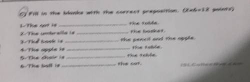 Fill in the blanks with the correct preposition. (2x6=12 points) ... the table.1-The cat is2-The umb