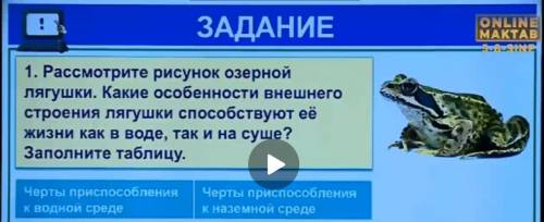 Рассмотрите рисунок озерной лягушки,какие особенности внешнего строения лягушки как в воде,так и на