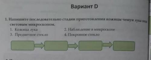 Напишите последовательность приготовления кожицы чешуи лука под микроскопом ​