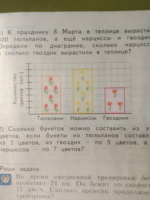 1) К празднику 8 марта в теплице вырастили 300 тюльпанов, а ещё нарциссы и гвоздики. Определи по диа