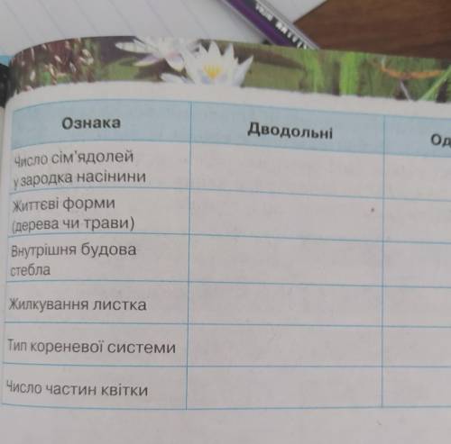 ррешитьаосле дводольні там однододьні