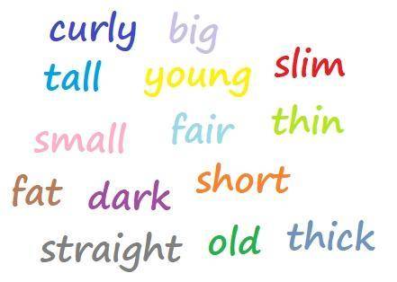 Exercise 2 Find the opposite pairs. Write 3 sentences about your appearance with any of these words.