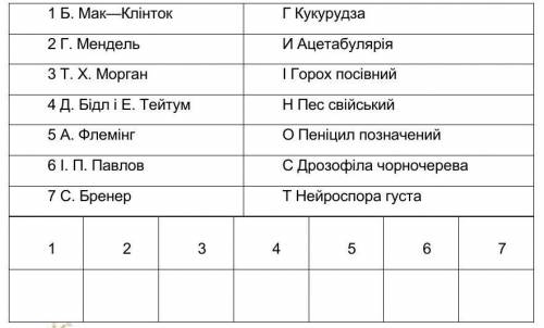 Зіставте прізвища вчених у галузі біології із модельними організмами, яких вони використовували, та