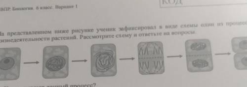 На представленном ниже рисунке ученик зафиксировал в виде схемы один из процессов жизнедеятельности