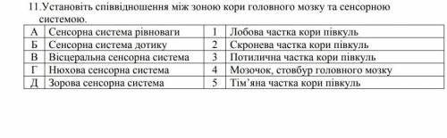 Установіть в якій послідовності відбувається сприйняття звукових хвиль ​