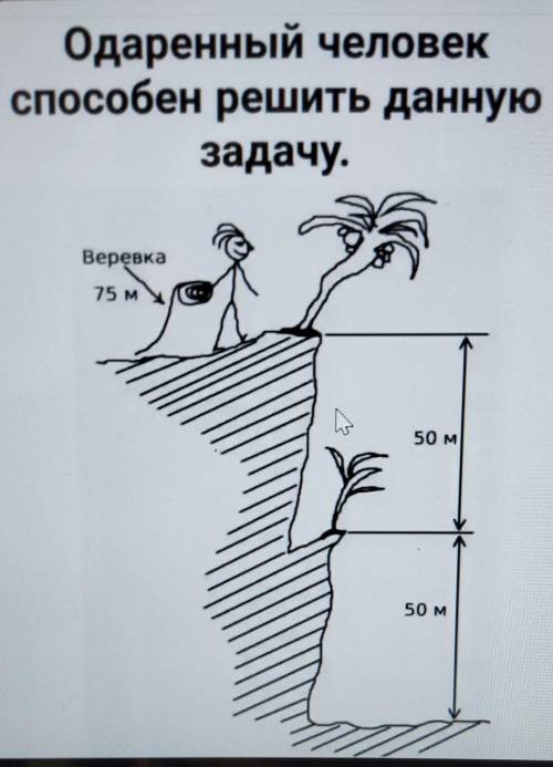 Одаренный человек решить даннуюзадачу.​