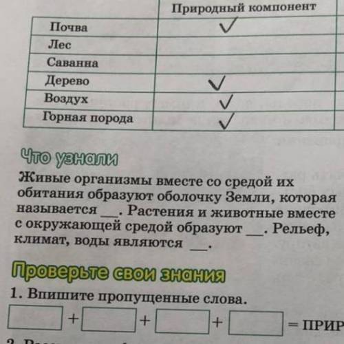 ответьте на этот вопрос умоляю