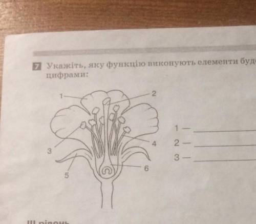 Укажіть, яку функцію виконують елементи будови квітки, позначені а малюнку цифрами​