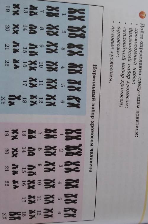 1 Дайте определения следующим понятиям: хромосомный набор;диплоидный набор хромосом;гаплоидный набор