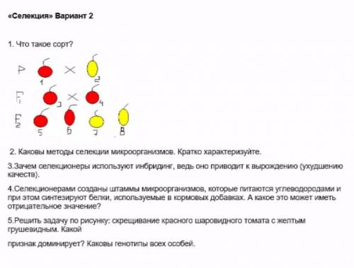 Решите , только задачи. 5 задания во всех 3-х вариантах. Остальное есть