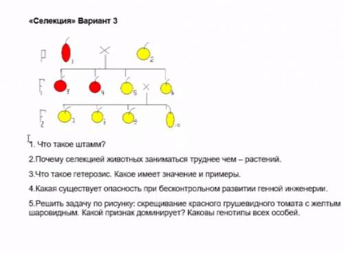 Решите , только задачи. 5 задания во всех 3-х вариантах. Остальное есть