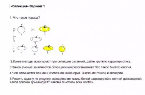 Решите , только задачи. 5 задания во всех 3-х вариантах. Остальное есть