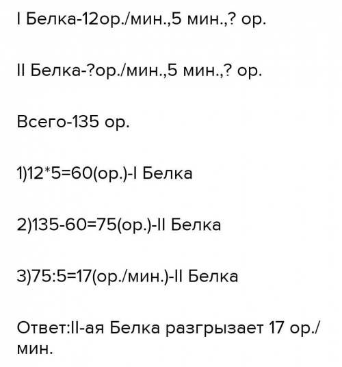 белки щелкали орехи за 5 минут они разгрызла 135 орехов одна из них открывает 12 орехов в минуту Ско