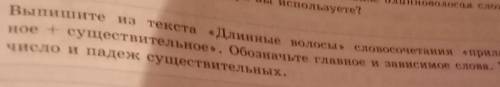 Обратите внимание на выделенные словосочетания в тексте длинные волосы какие схемы они соответствуют