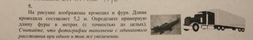 На рисунке изображены крокодил и фура. Длина крокодила составляет 5,2 м. Определите примернуюдлину ф