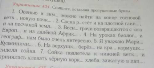 не Спишите, оставляя прогуненные буквы.Найдите здесь существительных и определите склонение ​