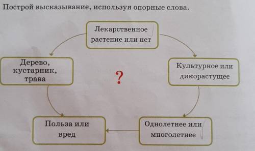 К празднику купили 5 наборов голубых шаров и 4 набора красных. За всю покупку заплатили 1080 тенге.