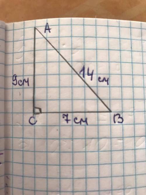 На малюнку зображено прямокутний трикутник АВС. Знайдіть sinB.