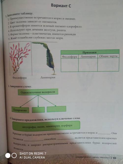 . Завтра у меня урок и я должна отвечать. Решите эти задания, хотя бы несколько.