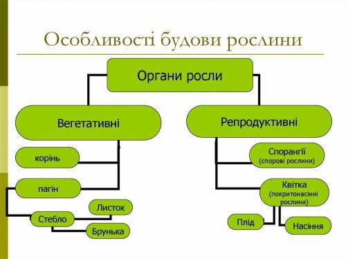 НУЖНО 1. Уважно розгляньте запропоновані зразки рослин і визначте: а) особливості будови вегетативни