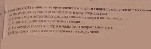 1 вопрос, выбрать вариарт надо всего лишь :D ССП с общим второстепенным членом